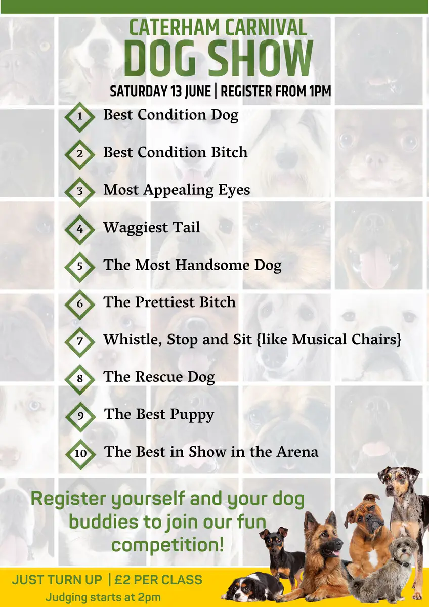 Dog show participant 2
